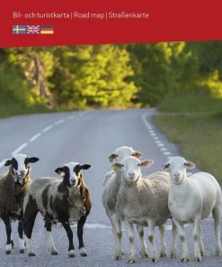 Östra Svealand Bil & Turistkarta Nr 3 : Skala 1:250.000