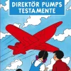 Stratosfärplanet H. 22. Del 1, Direktör Pumps testamente
