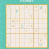 Sudoku Expert
