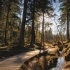 Sustainability