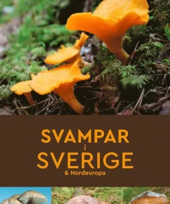 Svampar i Sverige & Nordeuropa