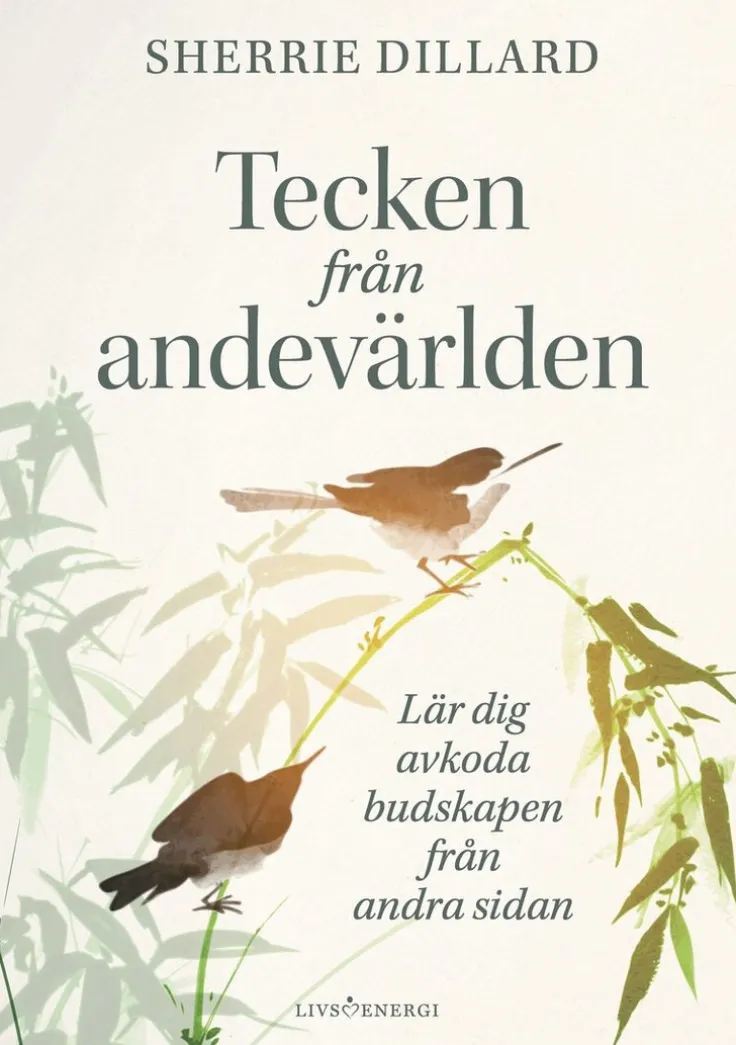 Tecken från andevärlden : lär dig avkoda budskapen från andevärlden