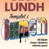 Templet i öknen : så köpte Qatar världens största sport