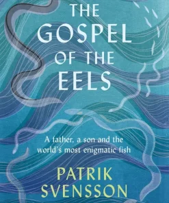 The Gospel of the Eels
