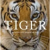 Tiger : kampen att rädda en art