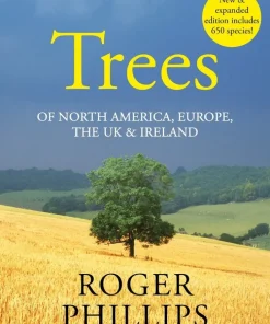 Trees