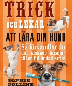 Trick och lekar att lära din hund : så förvandlar du ditt älskade husdjur..