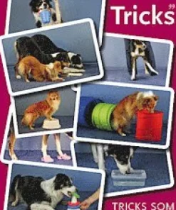 Tricks som aktivering