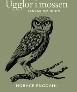 Ugglor i mossen : tankar om idiom