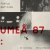 Umeå 87 : en kvinnas försvinnande och ett Sverige i förändring