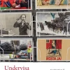 Undervisa i historia : didaktik och metodik för ämneslärare