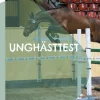 Unghästtest
