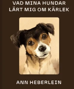 Vad mina hundar lärt mig om kärlek