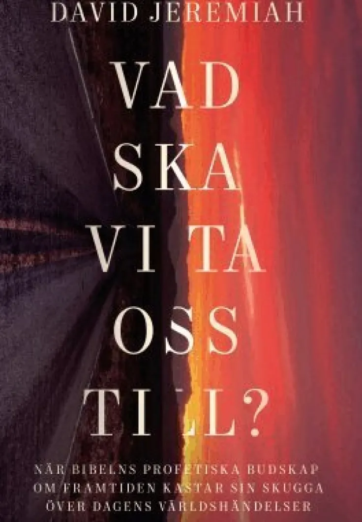 Vad ska vi ta oss till?