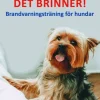 Vakna det brinner! : brandvarningsträning för hundar