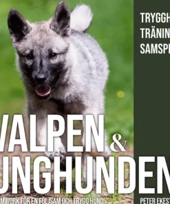 Valpen & unghunden : teamwork för en följsam och trygg hund