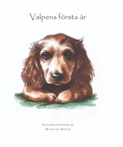 Valpens första år
