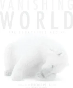 Vanishing World