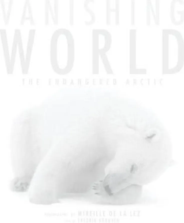 Vanishing World