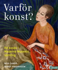 Varför konst? : på besök i Moderna Museets samling
