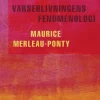 Varseblivningens fenomenologi