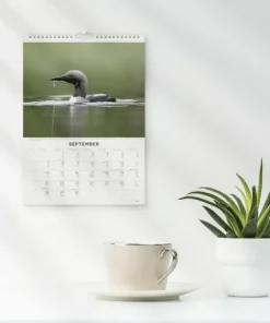Väggkalender 2026 Fåglar