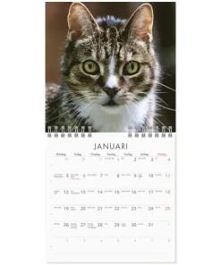 Väggkalender 2026 Grumpy Cats Mini