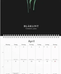 Väggkalender 2025 Illustrerad blomster