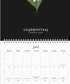 Väggkalender 2025 Illustrerad blomster