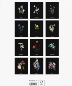 Väggkalender 2025 Illustrerad blomster