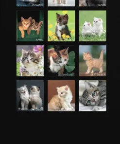 Väggkalender 2026 Liten Kattkalender
