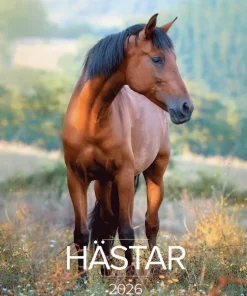 Väggkalender 2026 Stora Hästkalendern