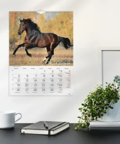 Väggkalender 2026 Stora Hästkalendern