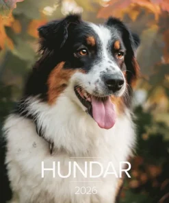 Väggkalender 2026 Stora Hundkalendern