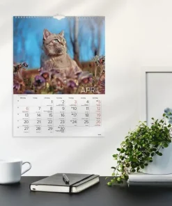 Väggkalender 2026 Stora Kattkalendern