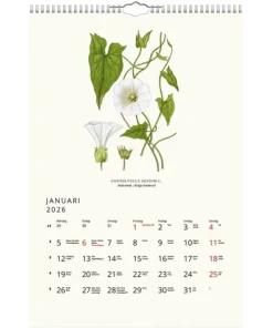 Väggkalender 2026 Växter