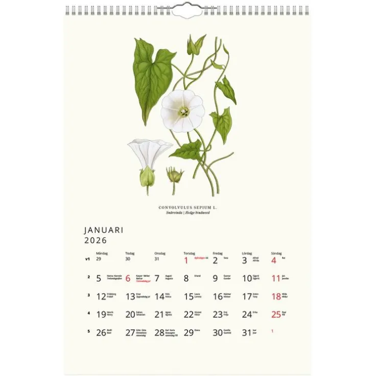 Väggkalender 2026 Växter