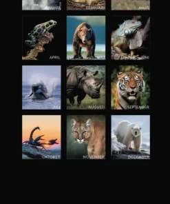Väggkalender 2026 Wild animals