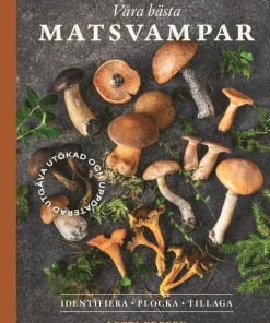 Våra bästa matsvampar : identifiera, plocka, tillaga