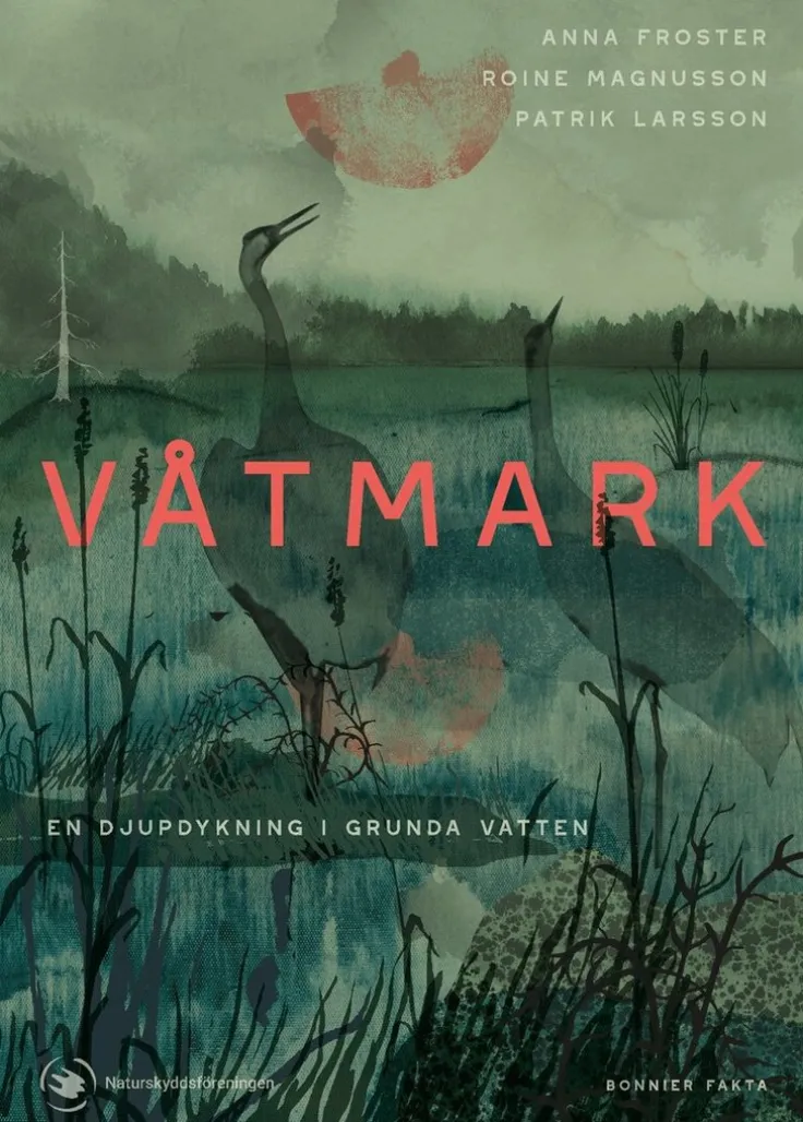 Våtmark : en djupdykning i grunda vatten