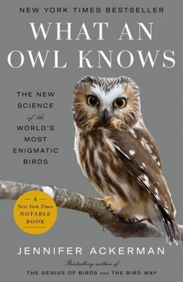 What an Owl Knows