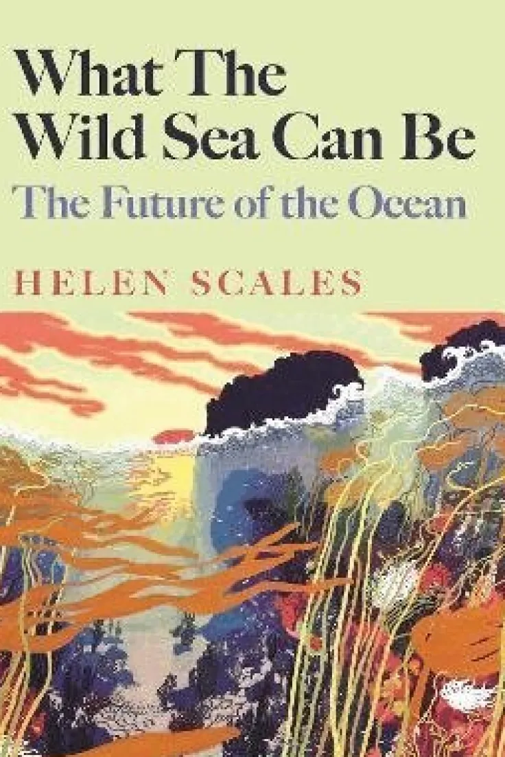What the Wild Sea Can Be