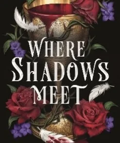 Where Shadows Meet