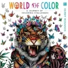 World of Color