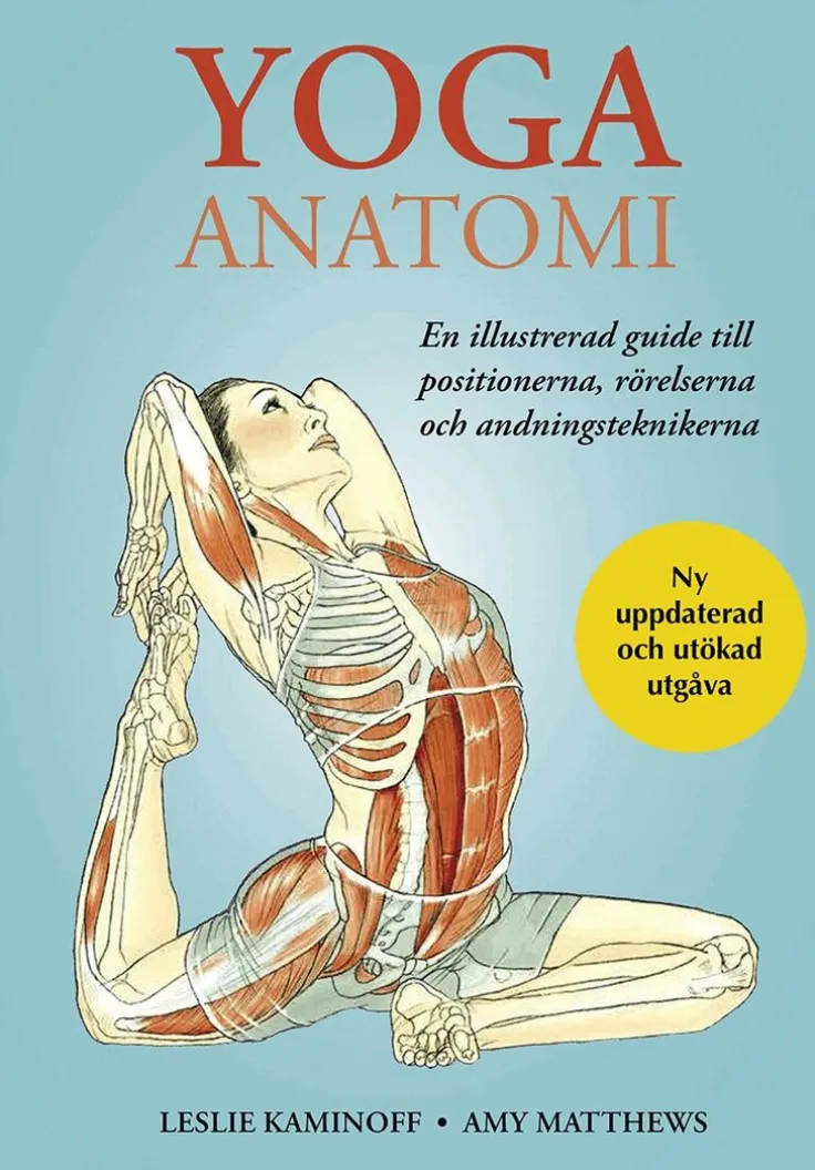 Yoga anatomi